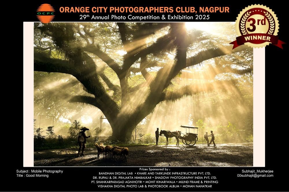 Mobile Photography 2025 (5)