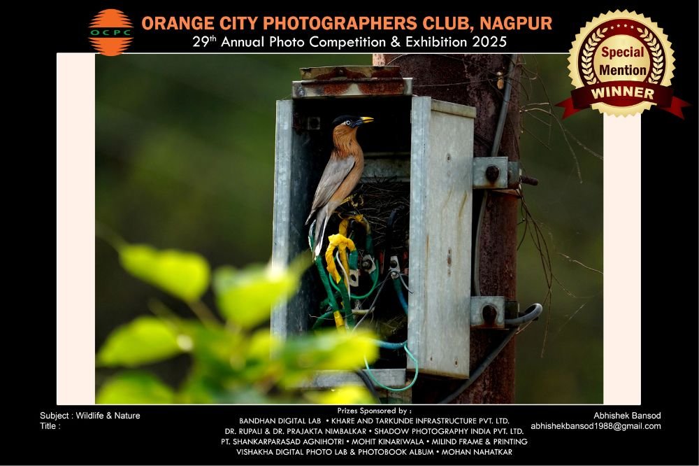 Wildlife & Nature 2025 (3)