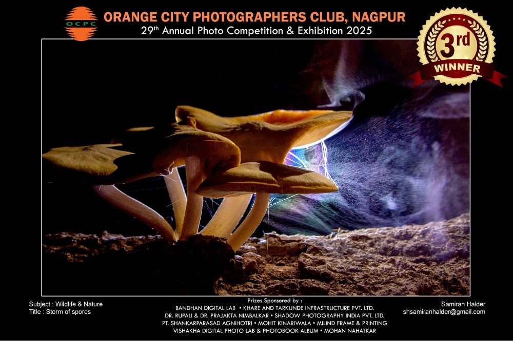 Wildlife & Nature 2025 (4)